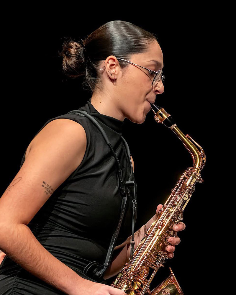Teresa Castelló Navasquillo