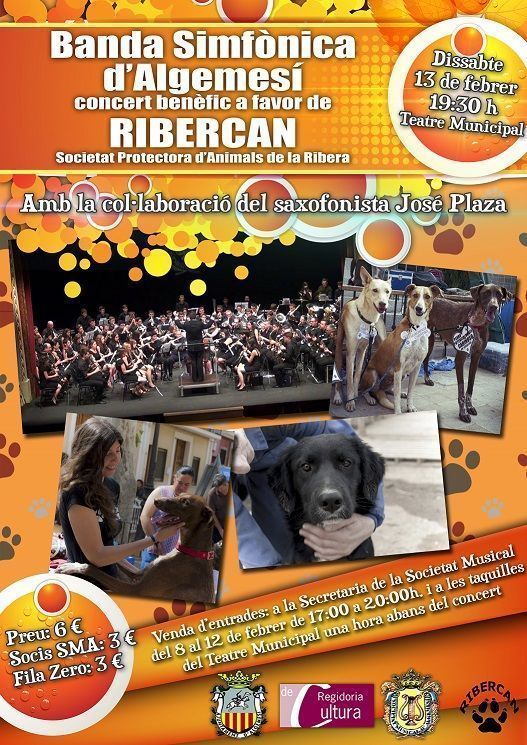 La Banda Simfònica d’Algemesí ofereix un concert benèfic a favor de Ribercan